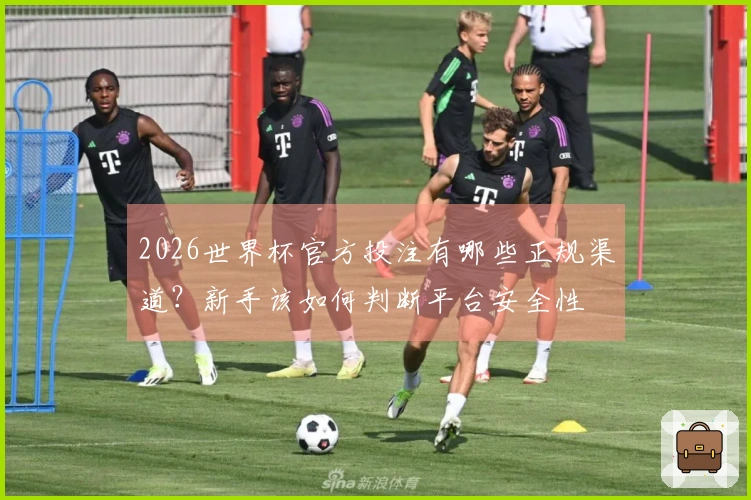 2026世界杯官方投注有哪些正规渠道?新手该如何判断平台安全性