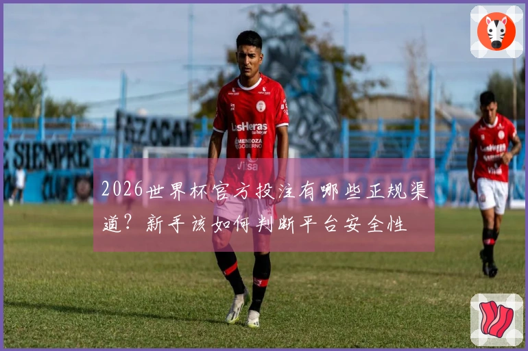 2026世界杯官方投注有哪些正规渠道？新手该如何判断平台安全性
