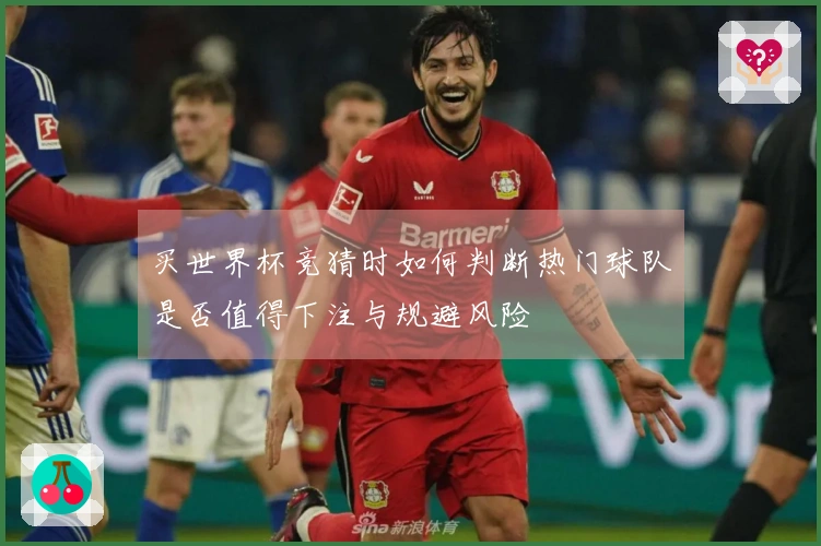 买世界杯竞猜时如何判断热门球队是否值得下注与规避风险