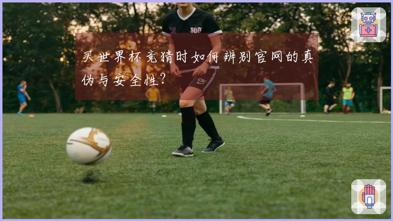 买世界杯竞猜时如何辨别官网的真伪与安全性？